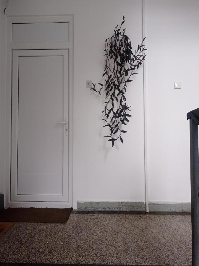 Smart Apartment Bajina Basta